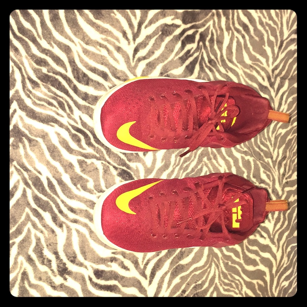 Nike Lebron Zoom Witness
